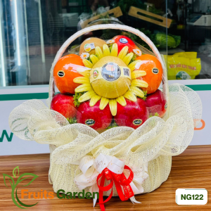 Giỏ trái cây nhập khẩu NG122