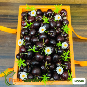 Hộp quà Cherry NG010