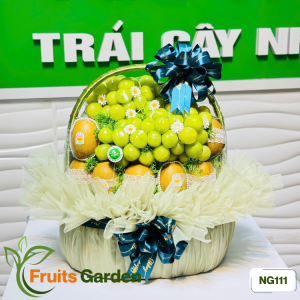 Giỏ trái cây nhập khẩu NG111