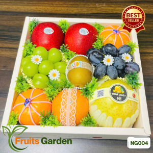 Hộp quà trái cây nhập khẩu NG004