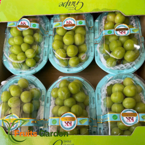 Nho Sữa Nhập khẩu