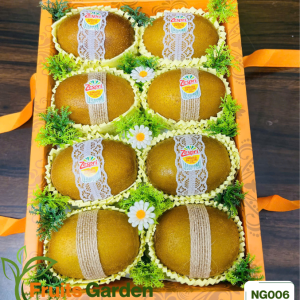 Hộp quà Kiwi New Zealand NG006