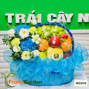 Giỏ trái cây hoa tươi NG209