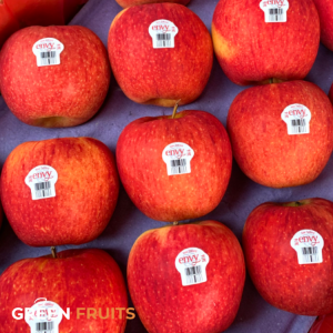 Táo Envy New Zealand size 28-35