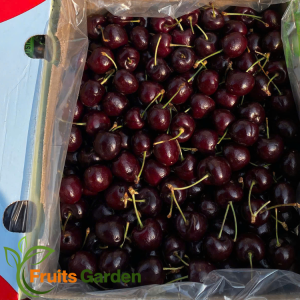 Cherry Chile Redbeat Size J