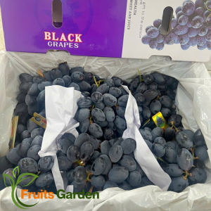 Nho Đen Nhập khẩu